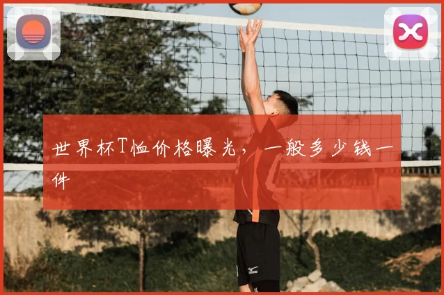 世界杯T恤价格曝光,一般多少钱一件