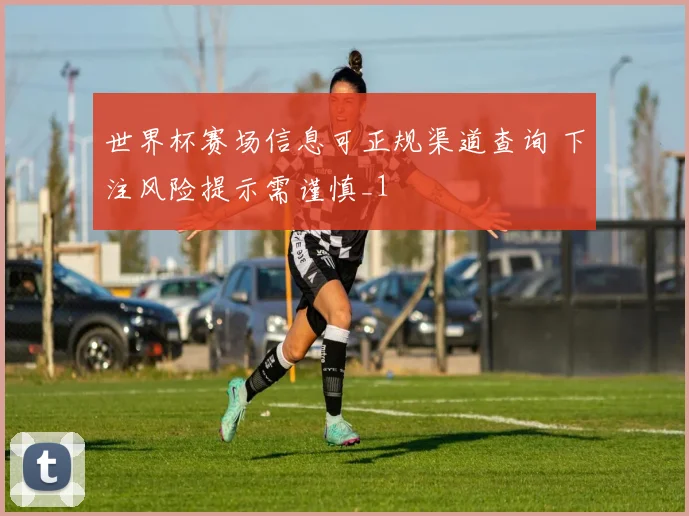 世界杯赛场信息可正规渠道查询 下注风险提示需谨慎_1
