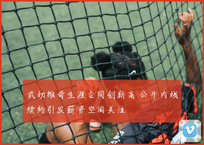 武切维奇生涯合同创新高 公牛内线续约引发薪资空间关注