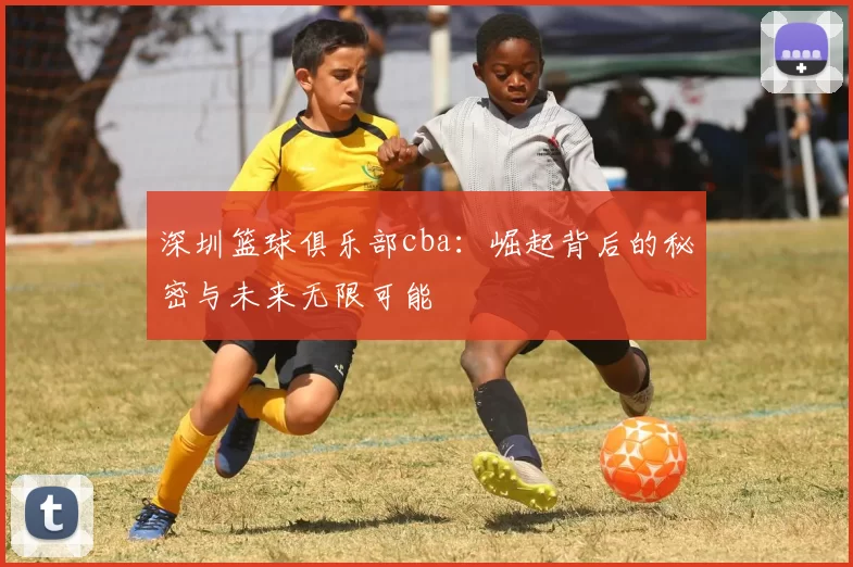 深圳篮球俱乐部cba：崛起背后的秘密与未来无限可能