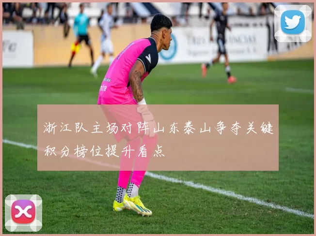 浙江队主场对阵山东泰山争夺关键积分榜位提升看点