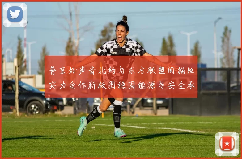 普京好声音北约与东方联盟间描绘实力合作新版图稳固能源与安全承诺