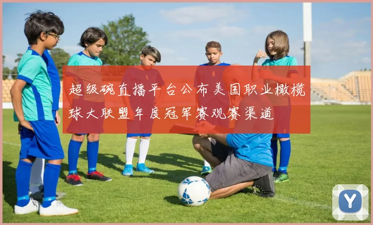 超级碗直播平台公布美国职业橄榄球大联盟年度冠军赛观赛渠道