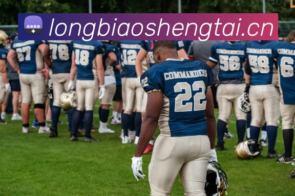 欧冠C罗詹俊，一场激情解说与传奇球星的梦幻碰撞！